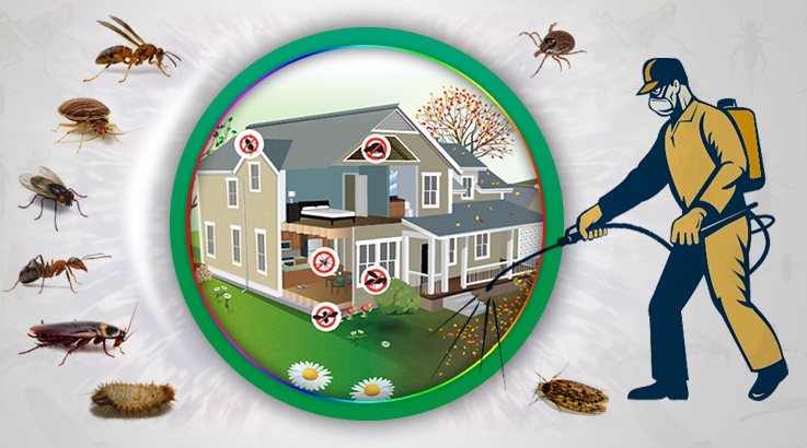 Ayvacık Böcek İlaçlama