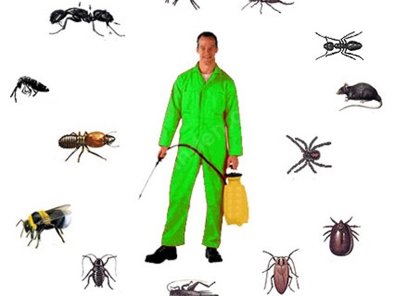 Ayvacık Böcek İlaçlama